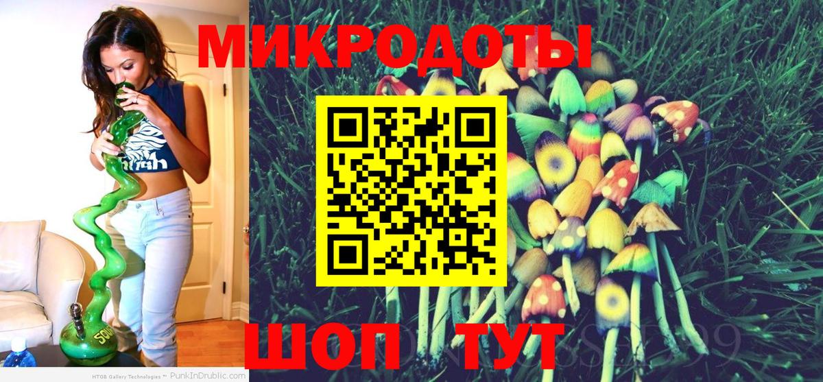 Псилоцибиновые грибы Psilocybe Красноуфимск